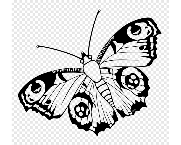 Png Clipart Butterfly Insect Visual Arts Peacock Animals Leaf